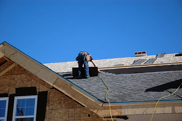 Best Roof Moss and Algae Removal  in Carnesville, GA